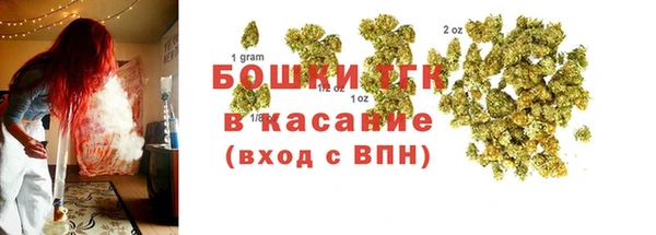 гидра Майский