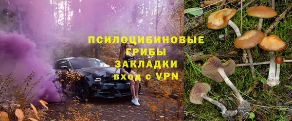 гидра Майский