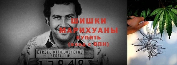 гидра Майский