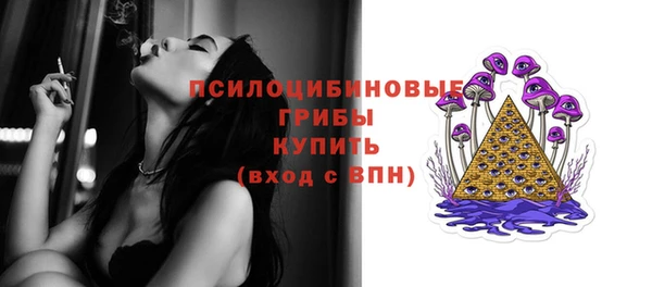спайс Магас