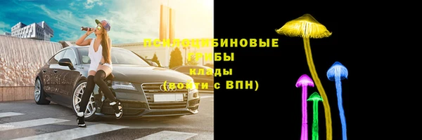 спайс Магас