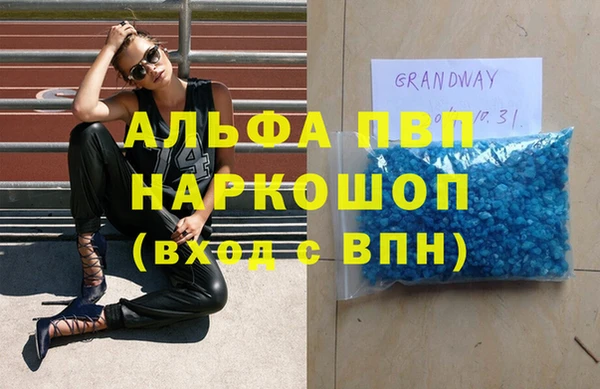 гидра Майский