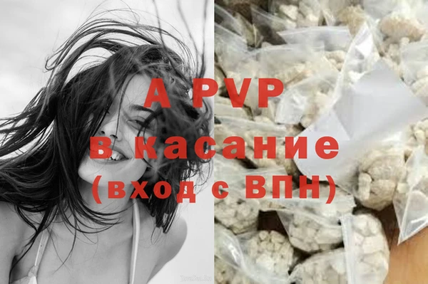 спайс Магас