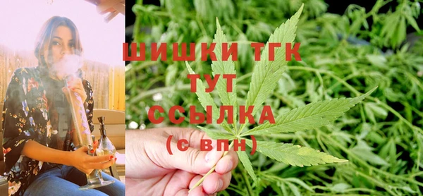 гидра Майский