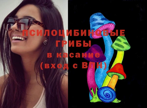 гидра Майский