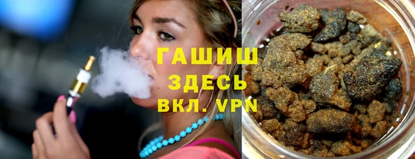 гидра Майский