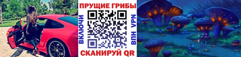закладки  Северская  Псилоцибиновые грибы MAGIC MUSHROOMS 