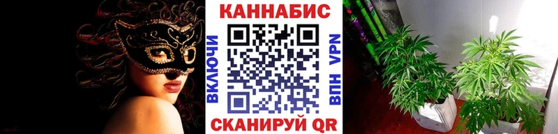 дарнет шоп  ссылка на мегу ТОР  Шишки марихуана Bruce Banner  Северская 